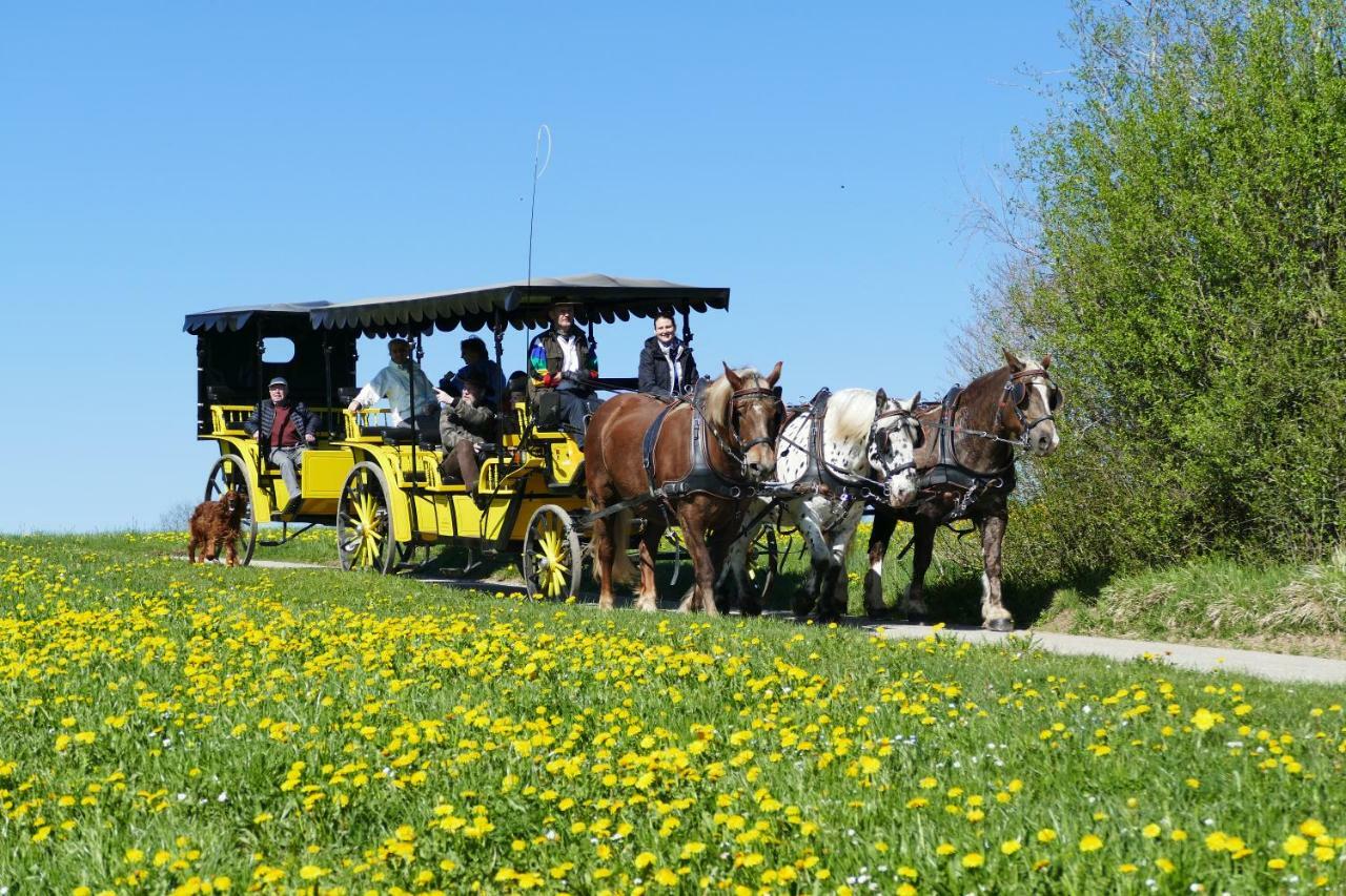Hotel Alpenhof Bad Wörishofen Dış mekan fotoğraf